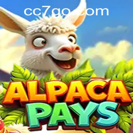 Exploring the World of AlpacaPays