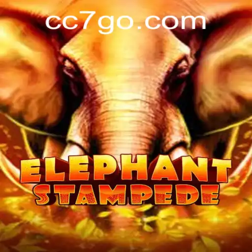 ElephantStampede: A Thrilling Adventure in the World of Gaming